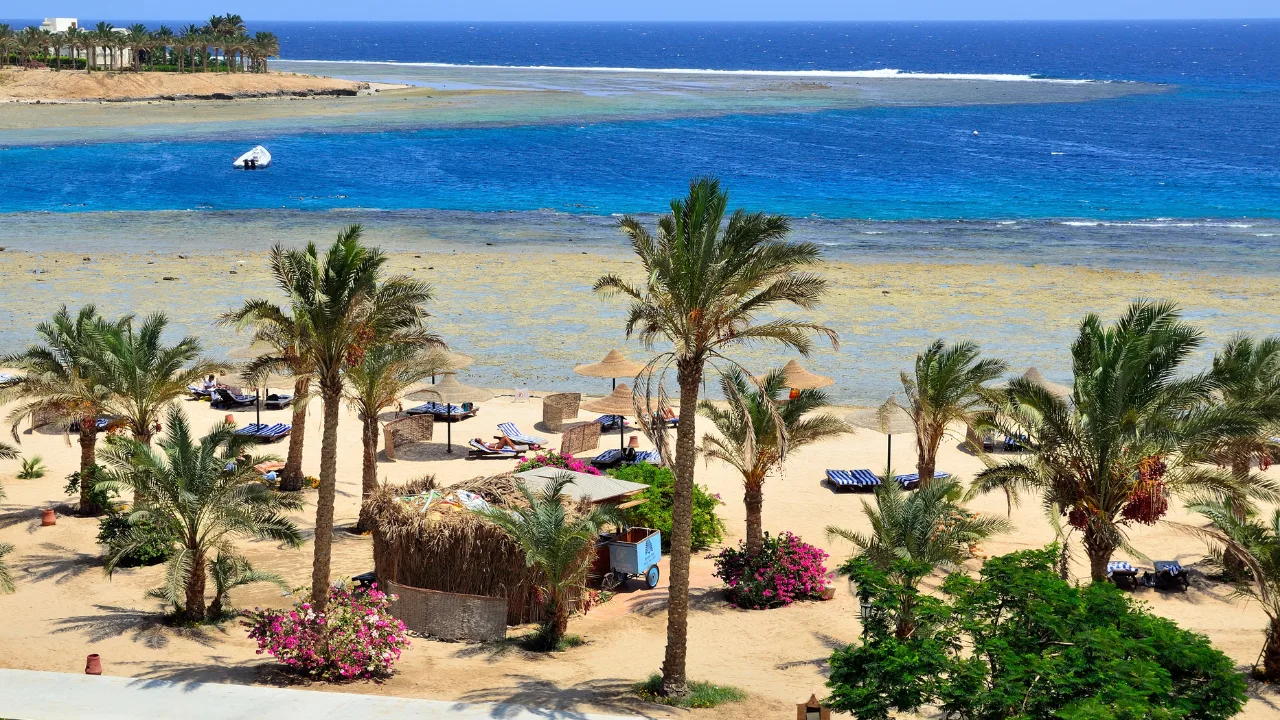 Strand mit Palmen in Marsa Alam, davor die Riffkante im Roten Meer