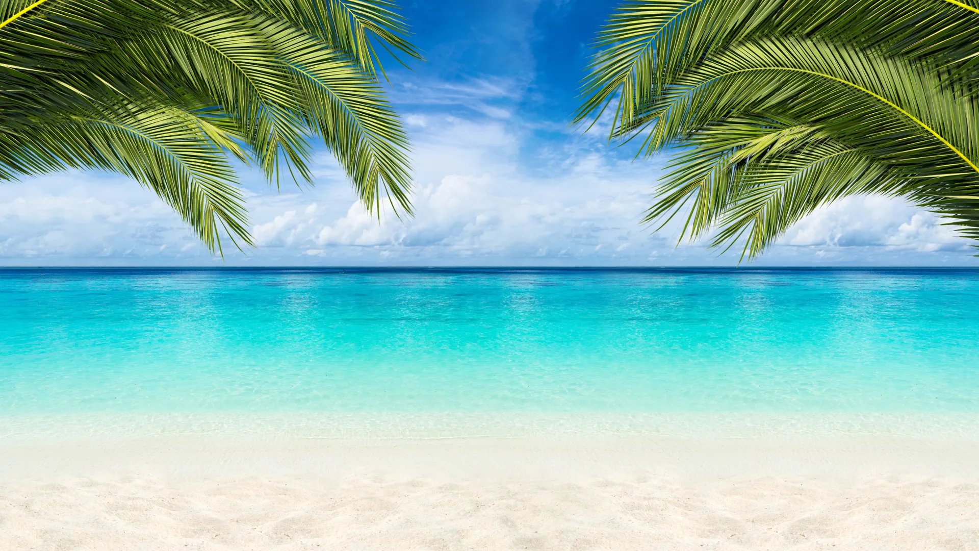 Ihr Traumurlaub 2026