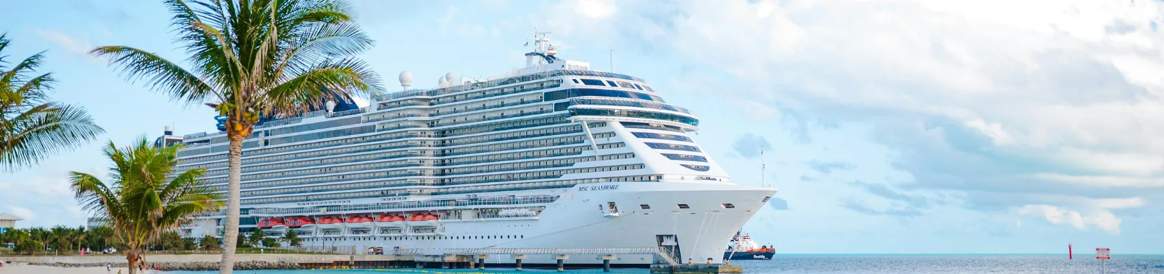 Großes Kreuzfahrtschiff am Hafen mit Palme und türkisem Meer – Kreuzfahrten mit Star Reisen
